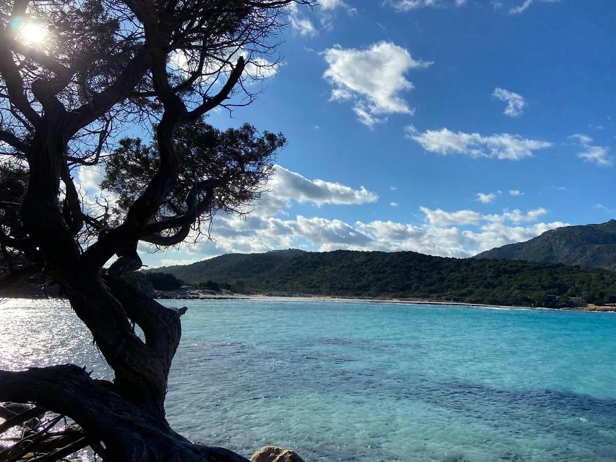 Sa Istera Sardegna Hotel Olbia Italy