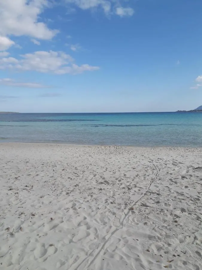 Sa Istera Sardegna Hotel Olbia 0*,  Italy